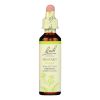 Bach Flower Remedies Essence Mustard - 0.7 Fl Oz