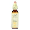 Bach Flower Remedies Essence Gentian - 0.7 Fl Oz