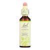 Bach Flower Remedies Essence Clematis - 0.7 Fl Oz