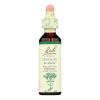 Bach Flower Remedies Essence Centaury - 0.7 Fl Oz