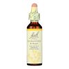 Bach Flower Remedies Essence Scleranthus - 0.7 Fl Oz