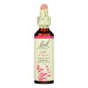 Bach Flower Remedies Essence Elm - 0.7 Fl Oz