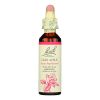 Bach Flower Remedies Essence Crab Apple - 0.7 Fl Oz