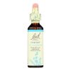 Bach Flower Remedies Essence Chicory - 0.7 Fl Oz