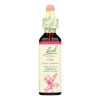 Bach Flower Remedies Essence Oak - 0.7 Fl Oz
